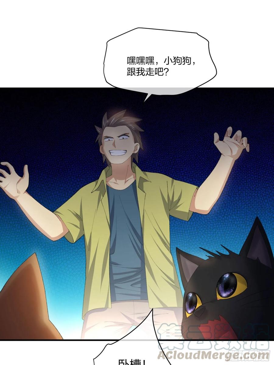 《异能税》偷狗贼 第3页