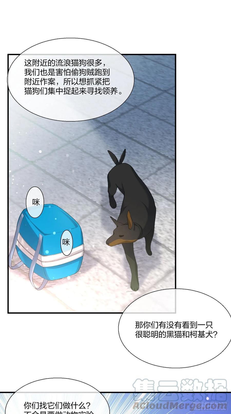 《异能税》动物异能 第29页