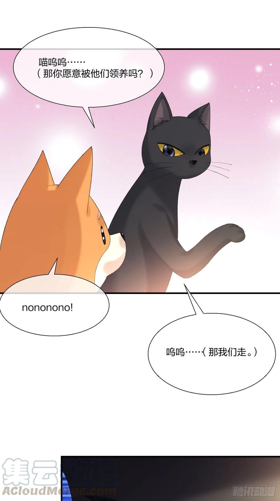 《异能税》动物异能 第3页