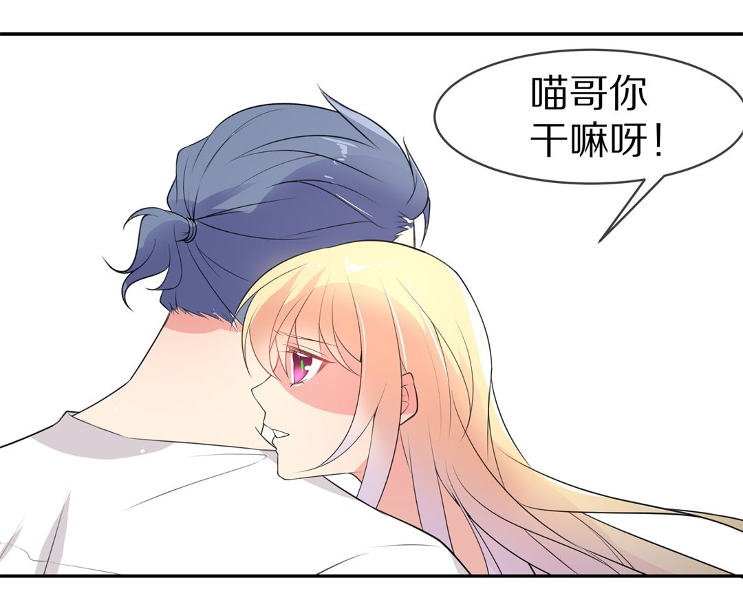 《废柴小姐的恋爱生存游戏》第146话 喵哥的身份（1） 第29页