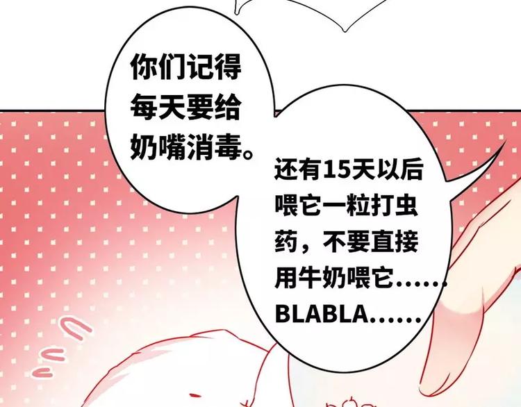《甜蜜拍档》第15话 珍惜 第13页