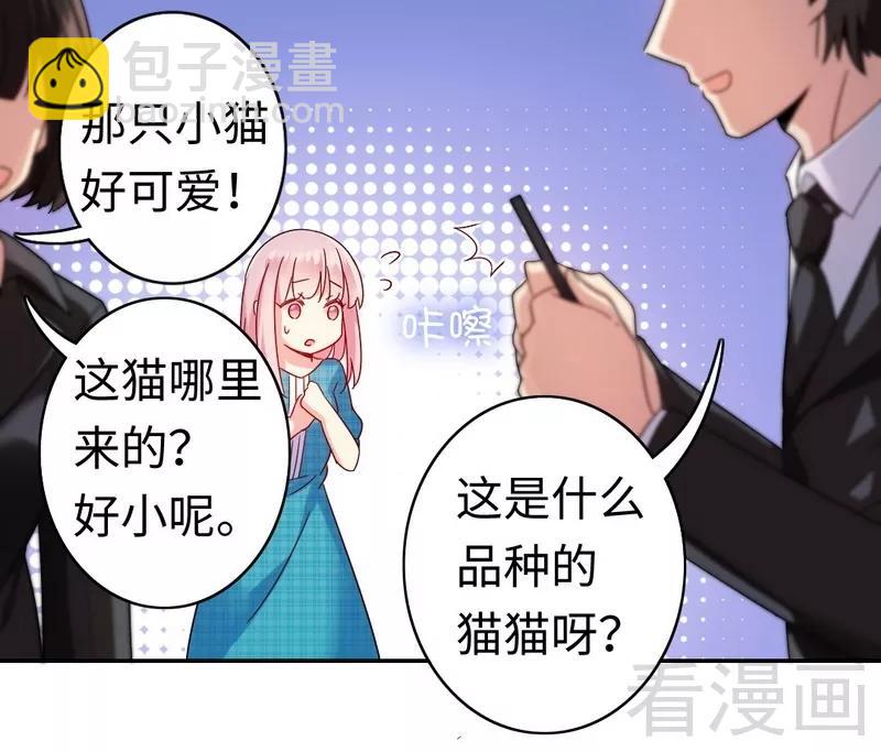 《甜蜜拍档》第59话 鉴定书 第3页