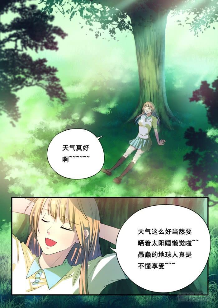 《木木长生》第8刻 阿咪上学去 第4页