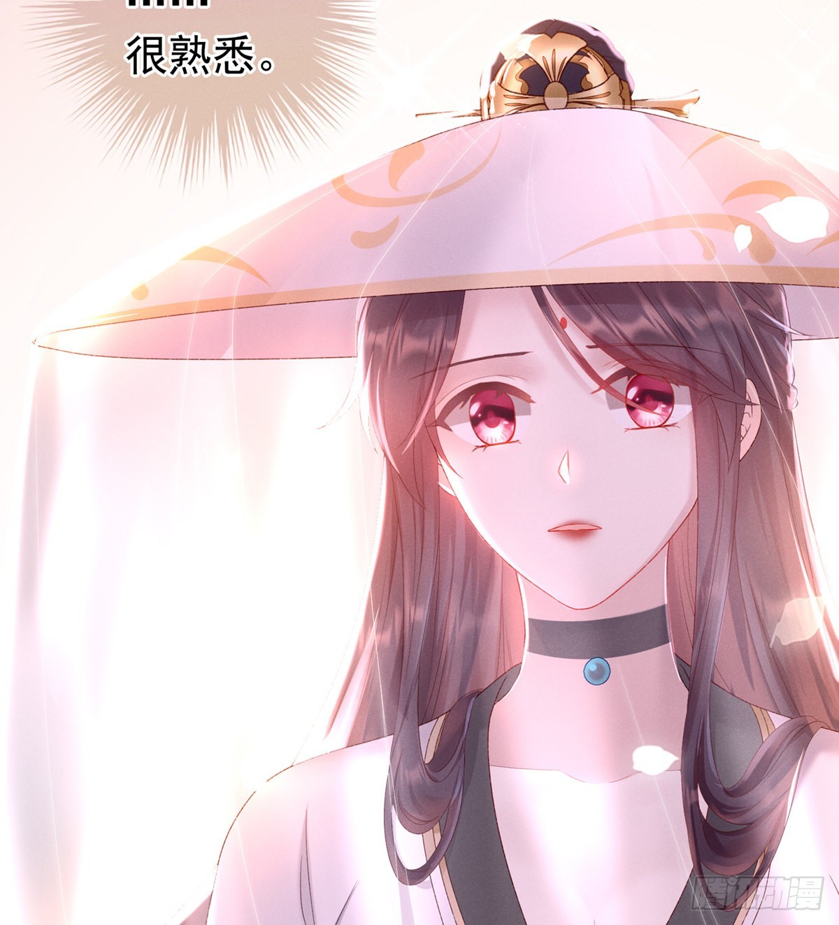 《家有娇夫》喜当妈 第12页