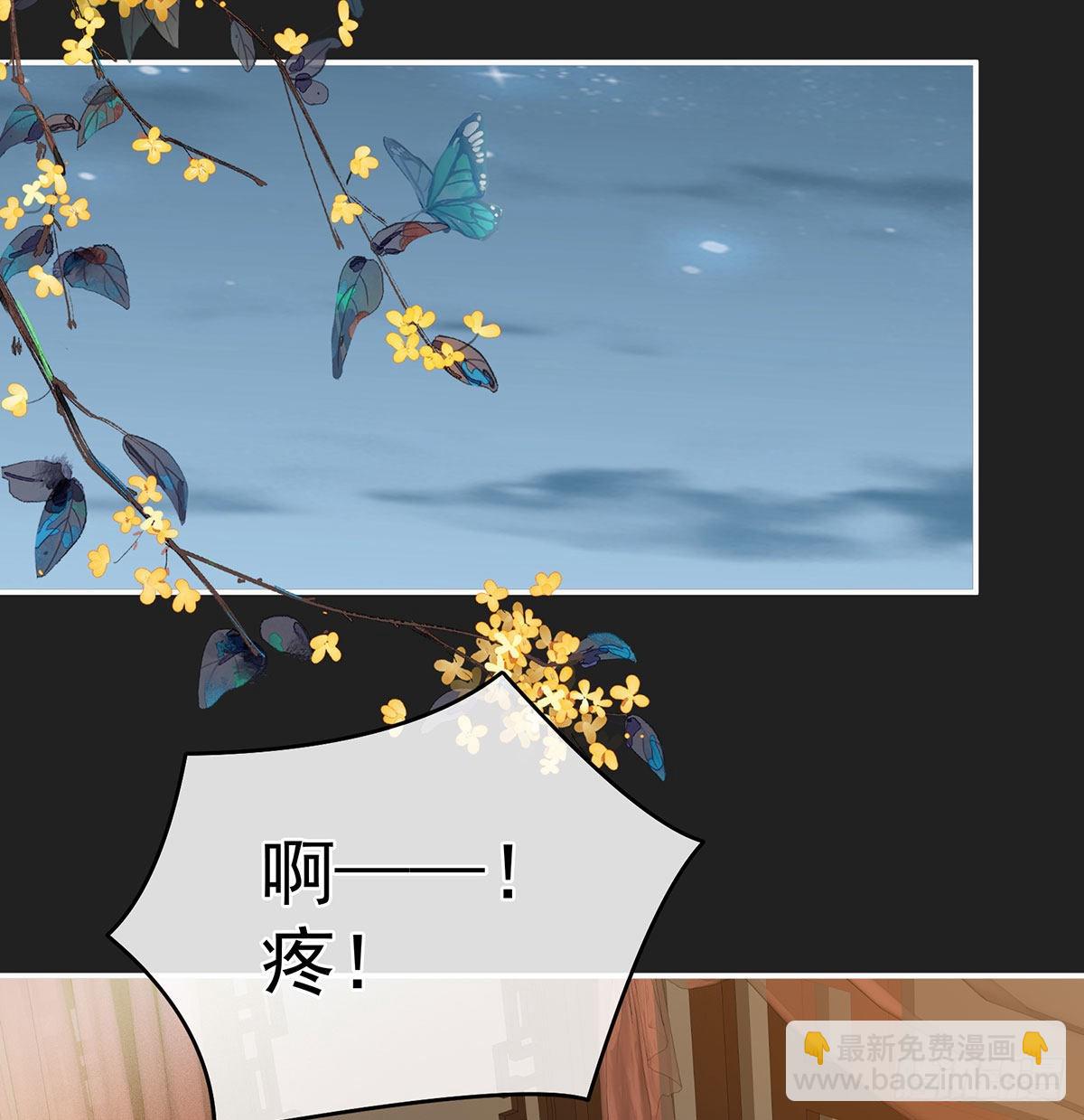 《家有娇夫》笼中鸟 第33页