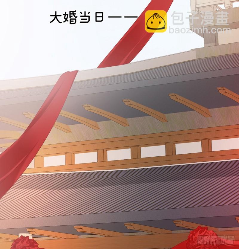 《家有娇夫》奉女成婚 第25页