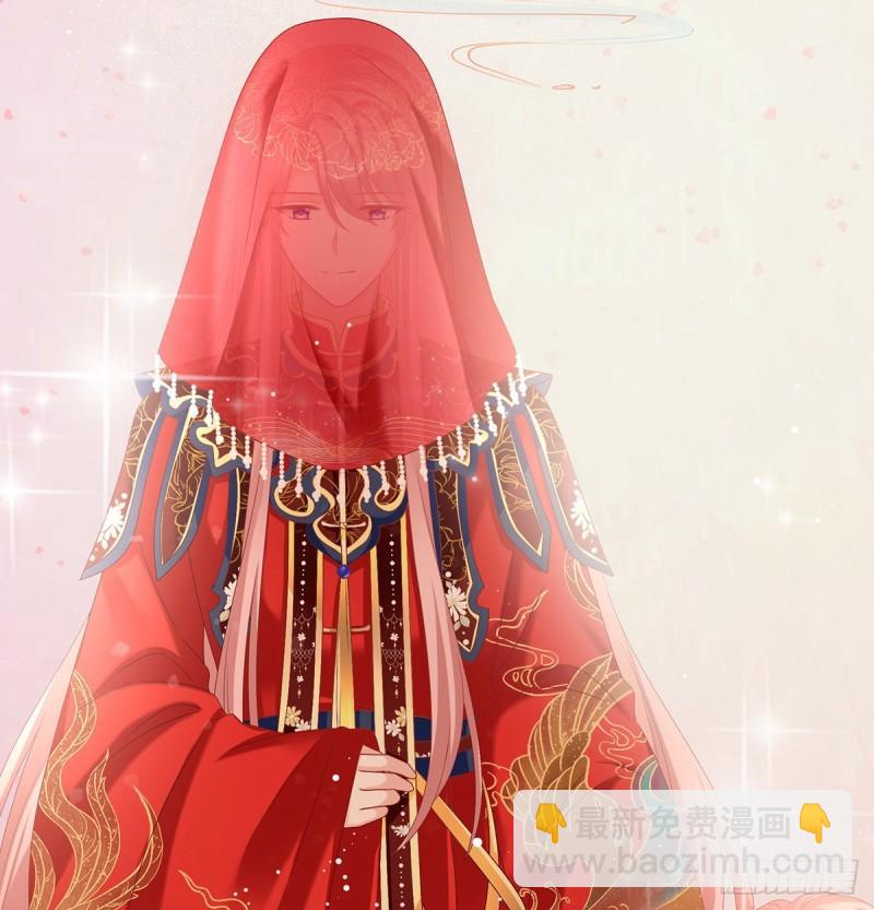 《家有娇夫》奉女成婚 第37页