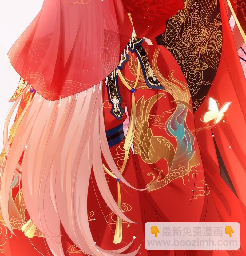 《家有娇夫》奉女成婚 第47页