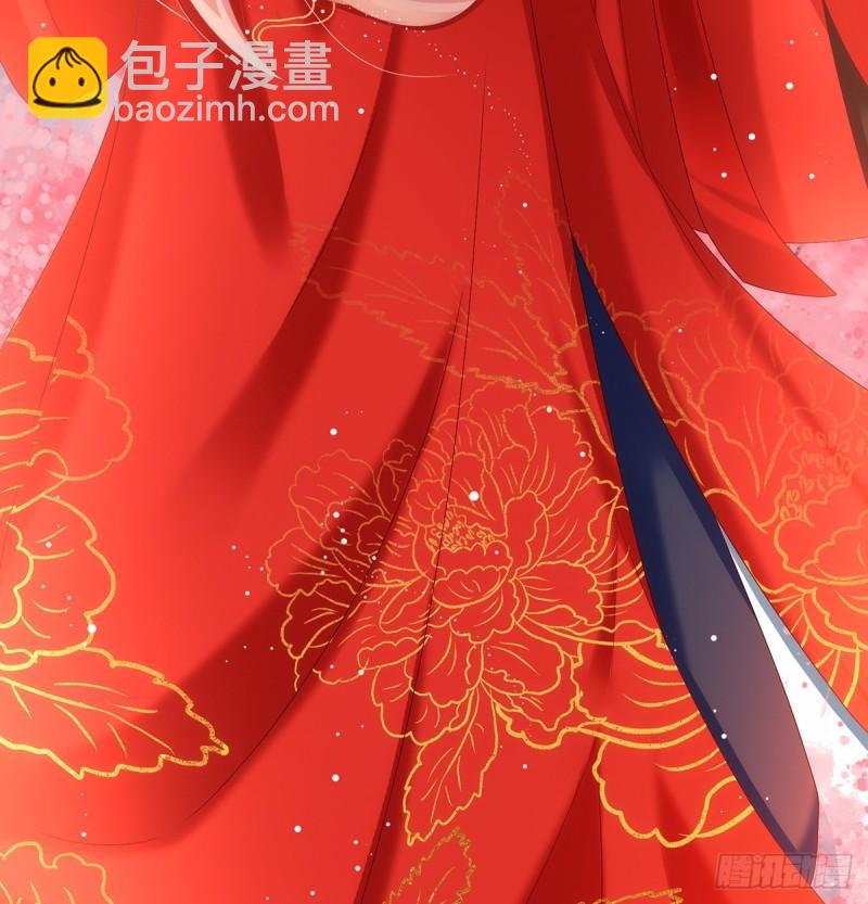 《家有娇夫》奉女成婚 第48页