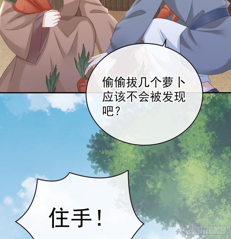 《家有娇夫》番外诺诺的后宫 第5页