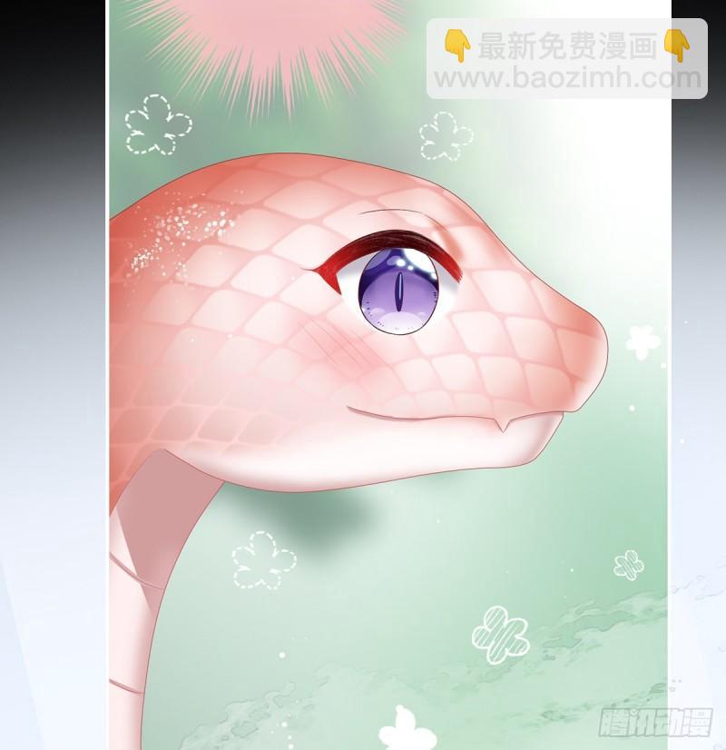 《家有娇夫》一夜留情 第33页
