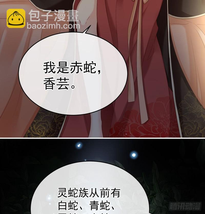 《家有娇夫》生很多蛇宝宝 第42页