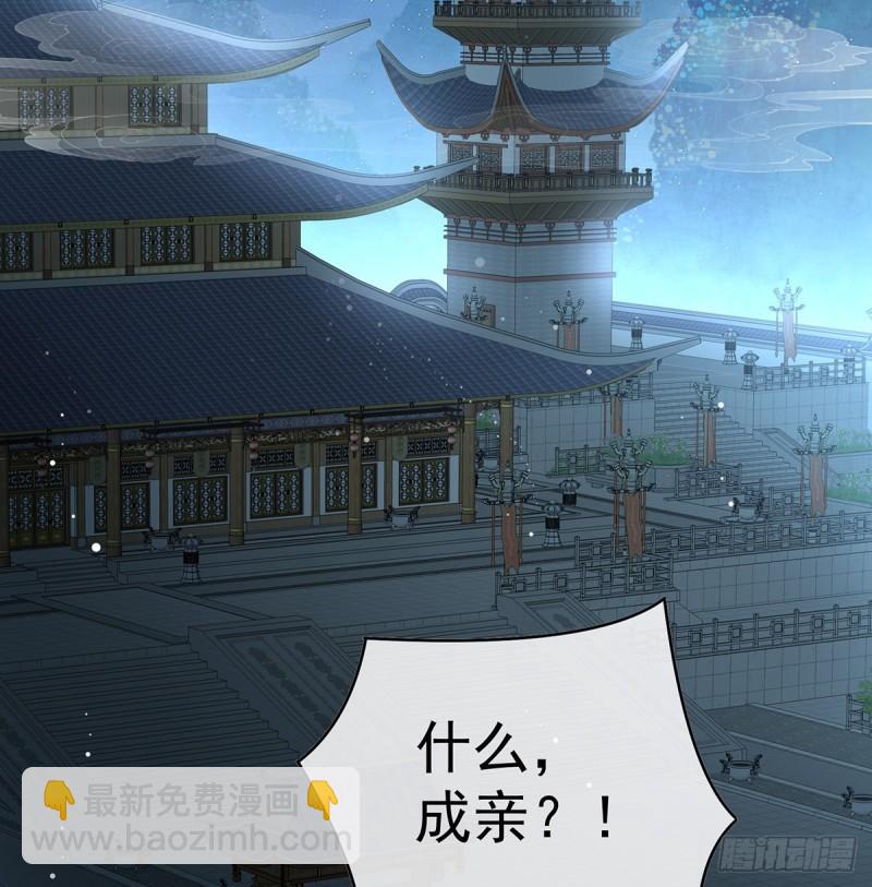 《家有娇夫》婚约 第30页