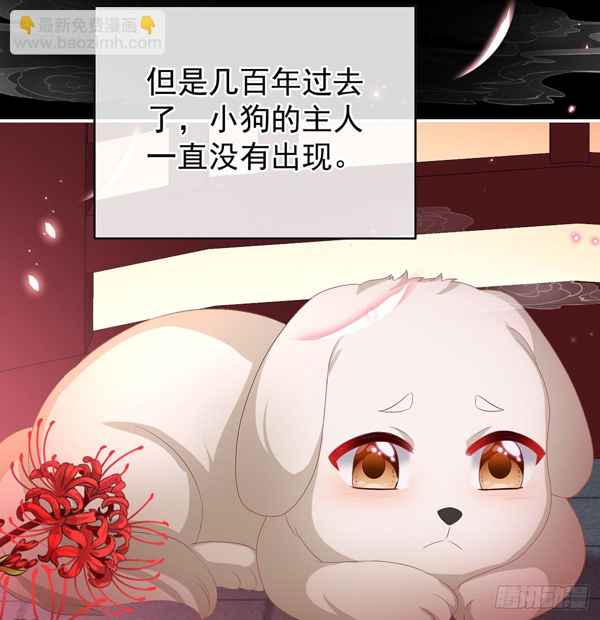 《家有娇夫》你就是那只狗！ 第29页
