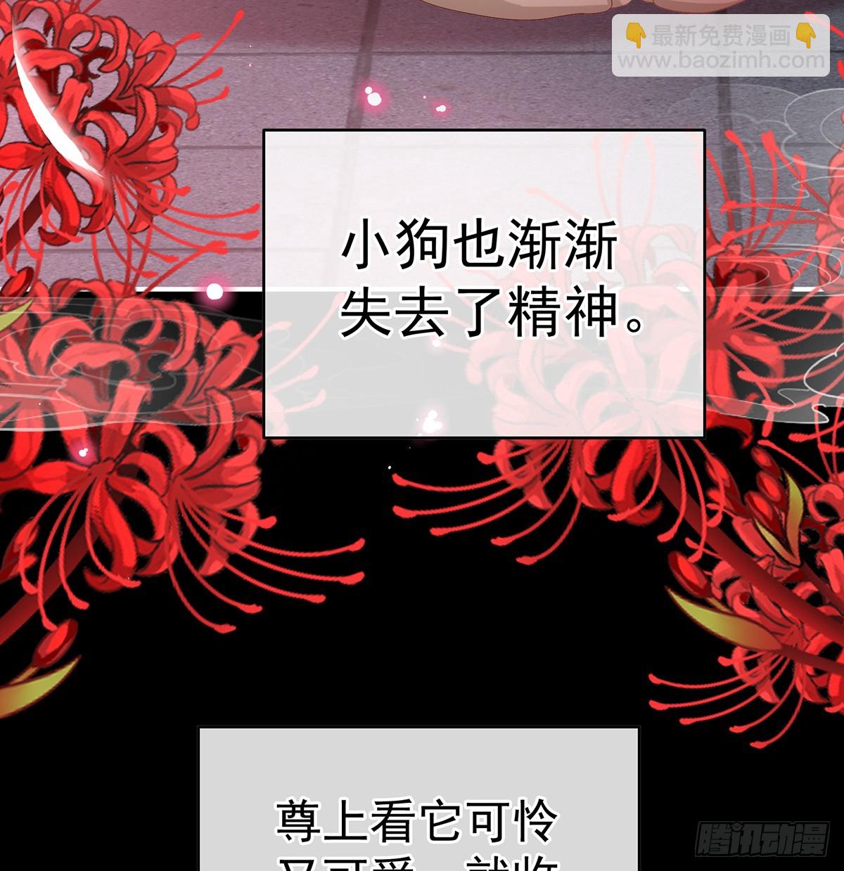 《家有娇夫》你就是那只狗！ 第30页