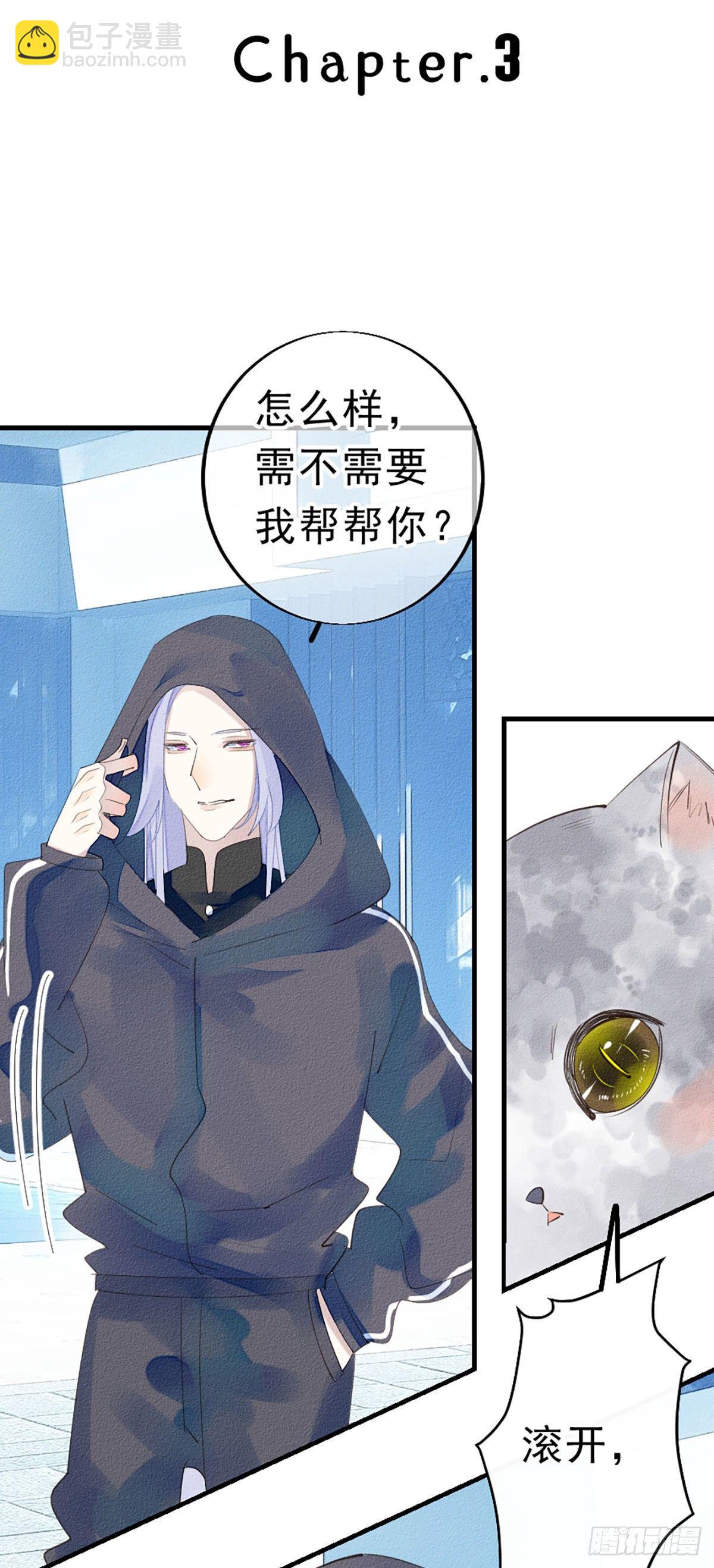 《我捡的流浪猫变成人了？》3.震惊，猫咪居然会说话 第2页