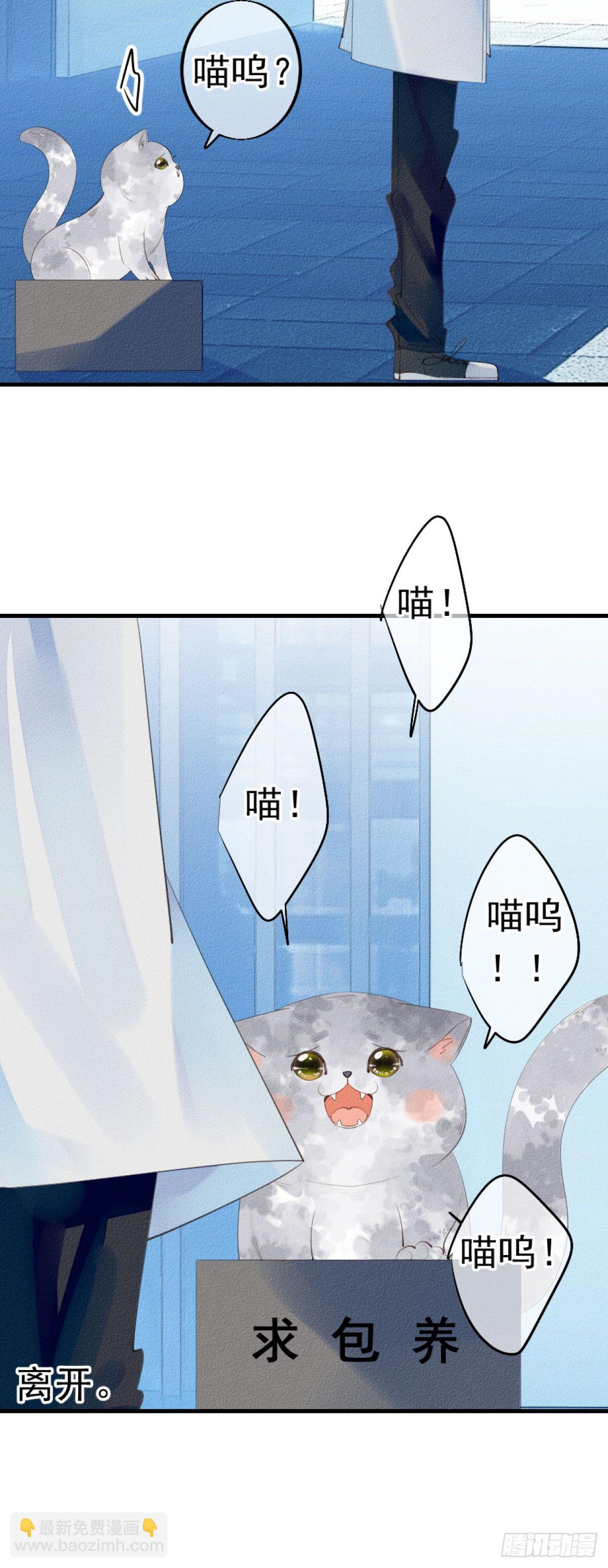 《我捡的流浪猫变成人了？》2.人家根本没想把你捡回家去。 第3页