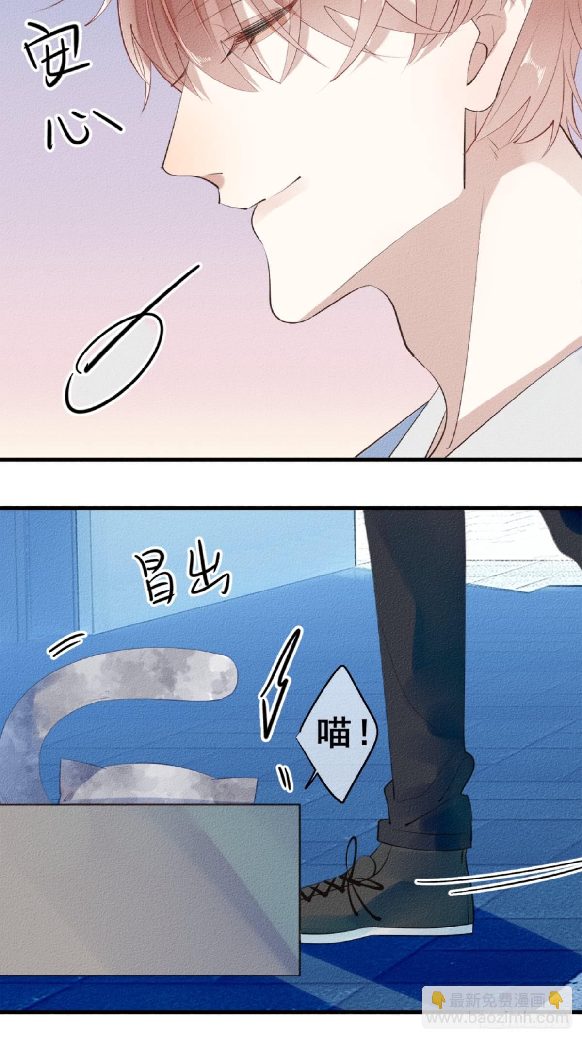 《我捡的流浪猫变成人了？》0.一颗青柚 第8页