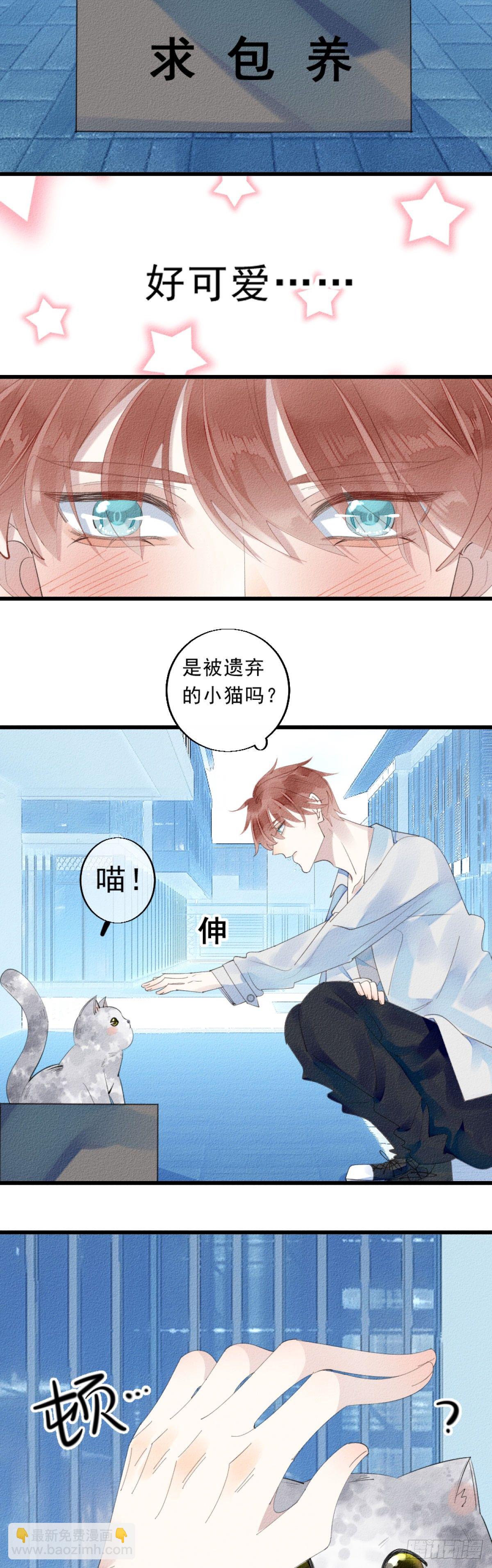 《我捡的流浪猫变成人了？》1.路遇一只小猫 第3页