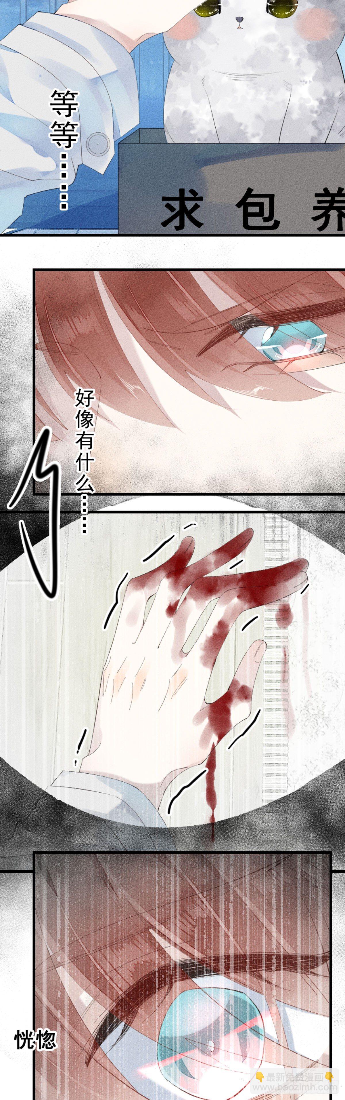 《我捡的流浪猫变成人了？》1.路遇一只小猫 第4页