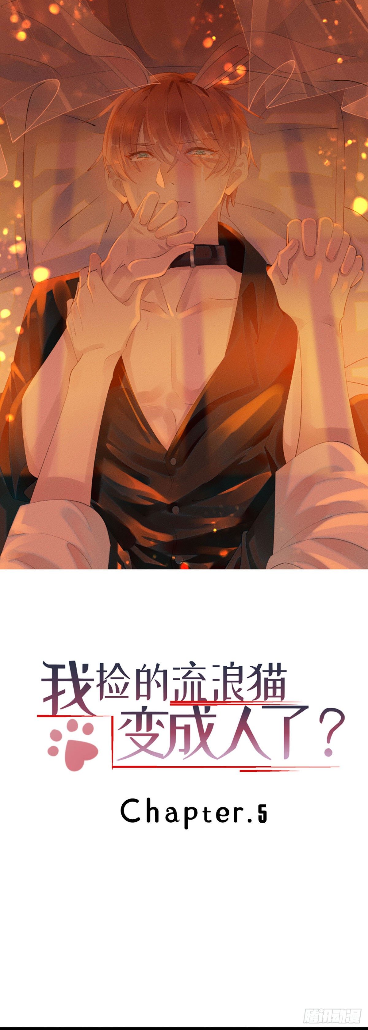 《我捡的流浪猫变成人了？》5.终于把小猫咪拐回家了！ 第1页