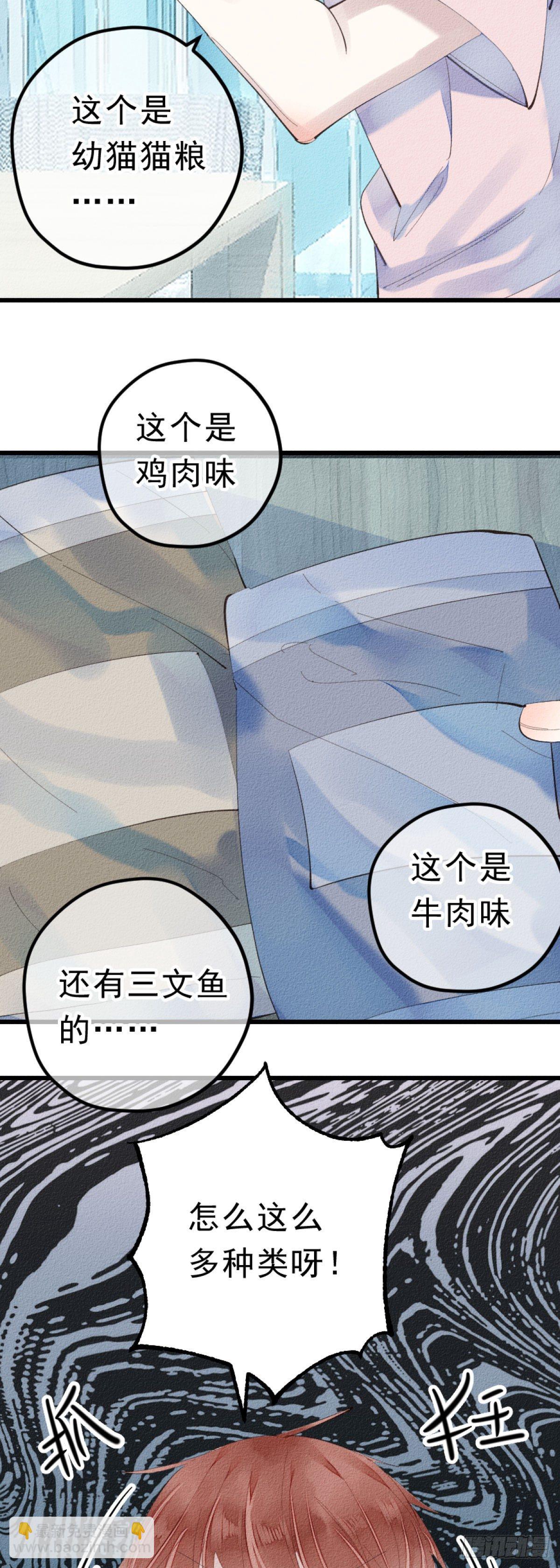 《我捡的流浪猫变成人了？》5.终于把小猫咪拐回家了！ 第3页