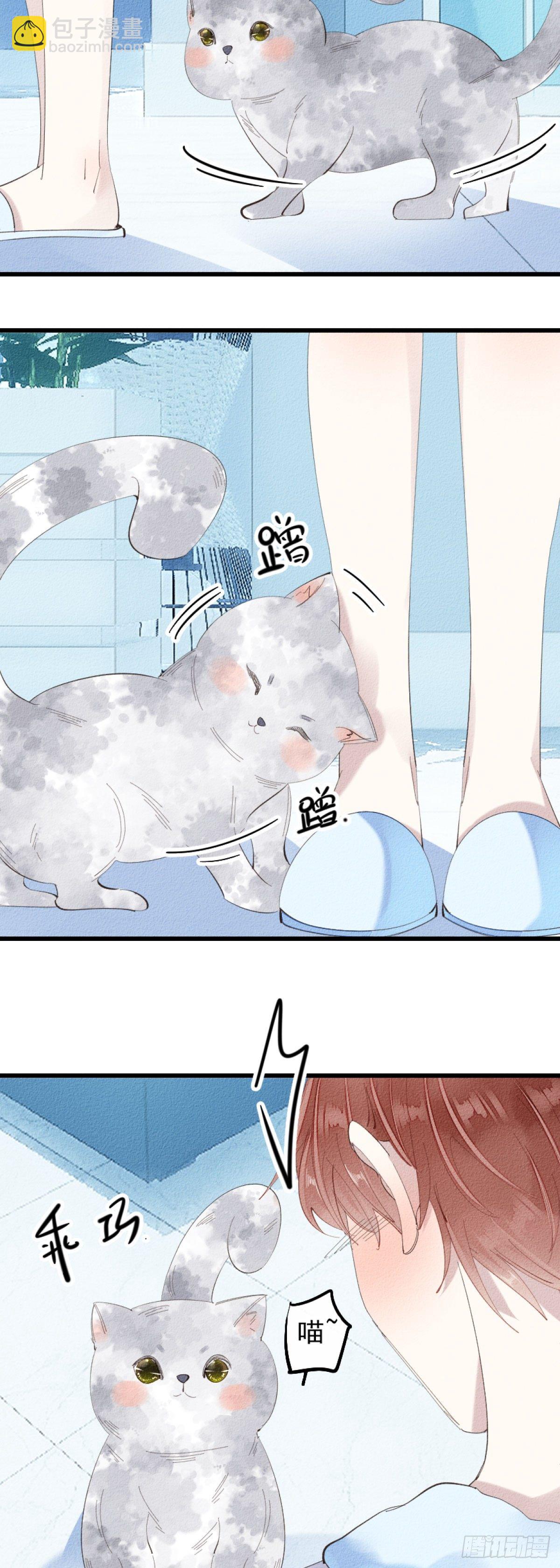 《我捡的流浪猫变成人了？》5.终于把小猫咪拐回家了！ 第5页