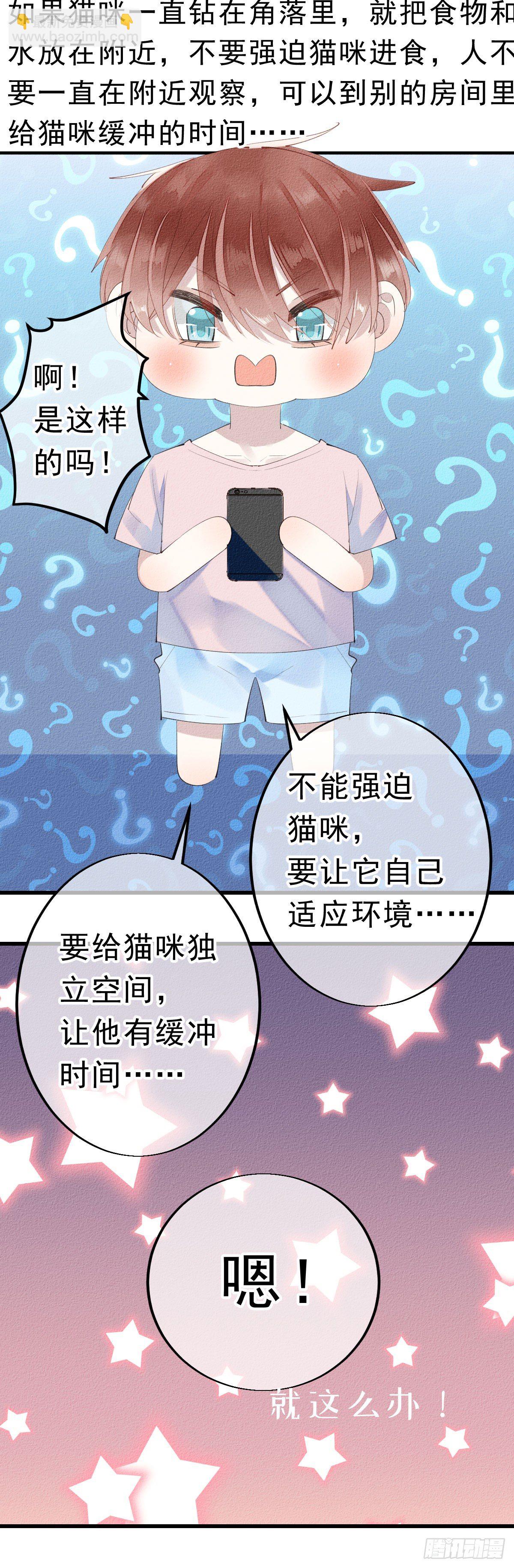 《我捡的流浪猫变成人了？》7.应激反应？ 第6页