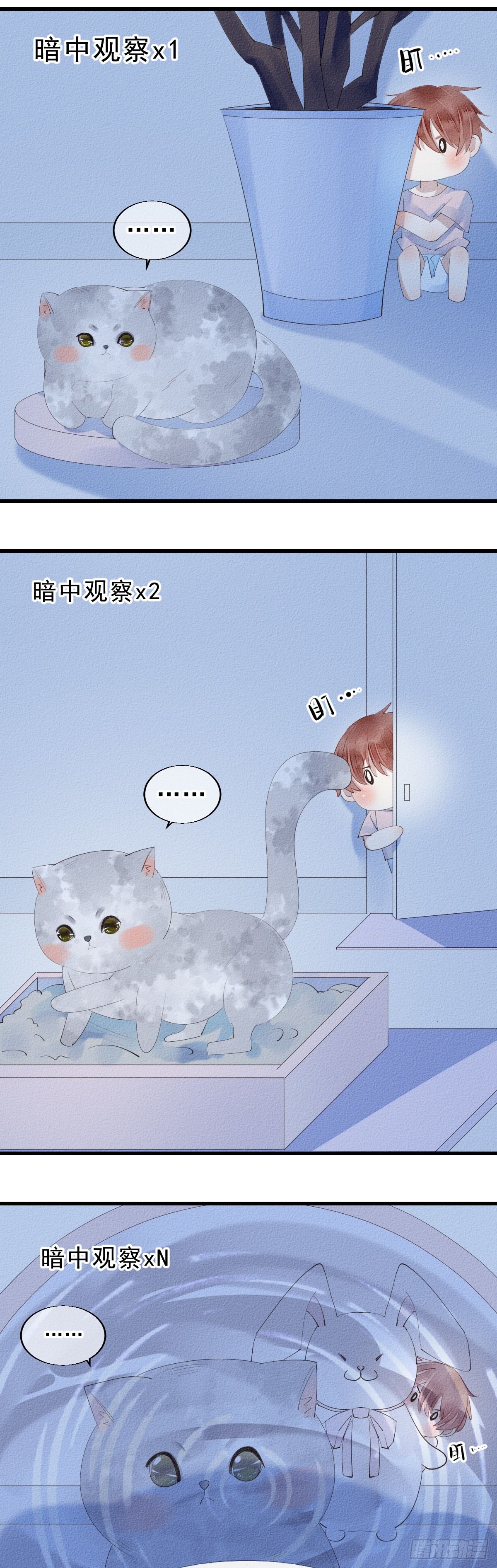 《我捡的流浪猫变成人了？》7.应激反应？ 第7页