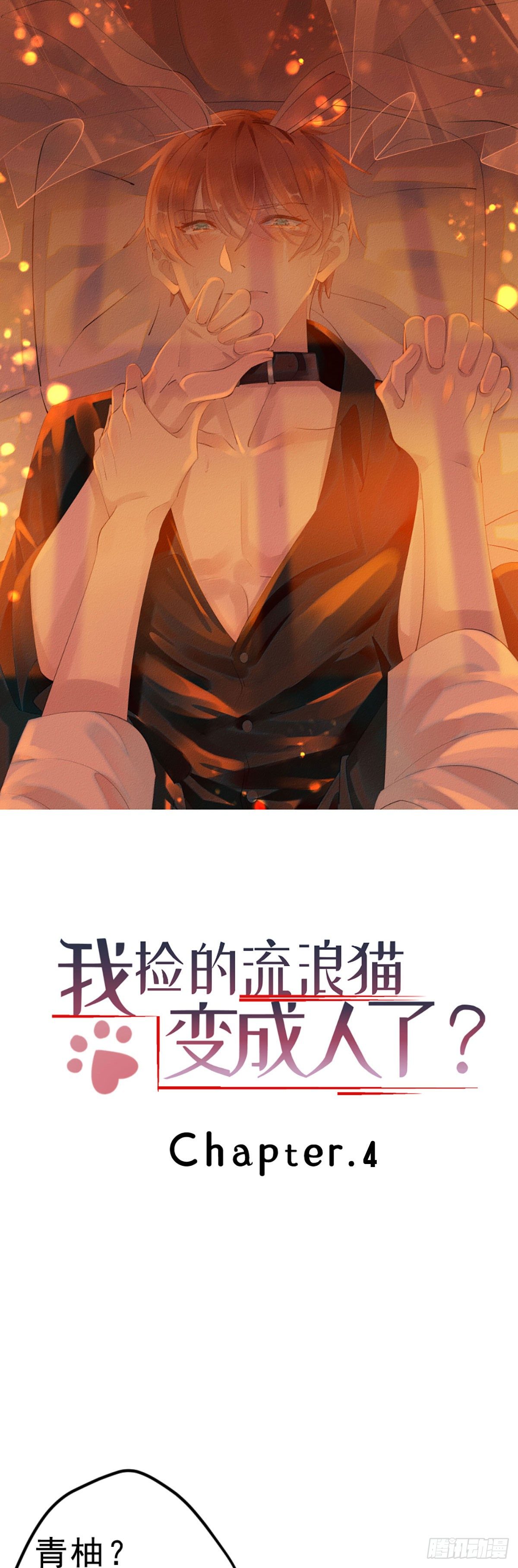 《我捡的流浪猫变成人了？》4.别怕，很快就到家了！ 第1页