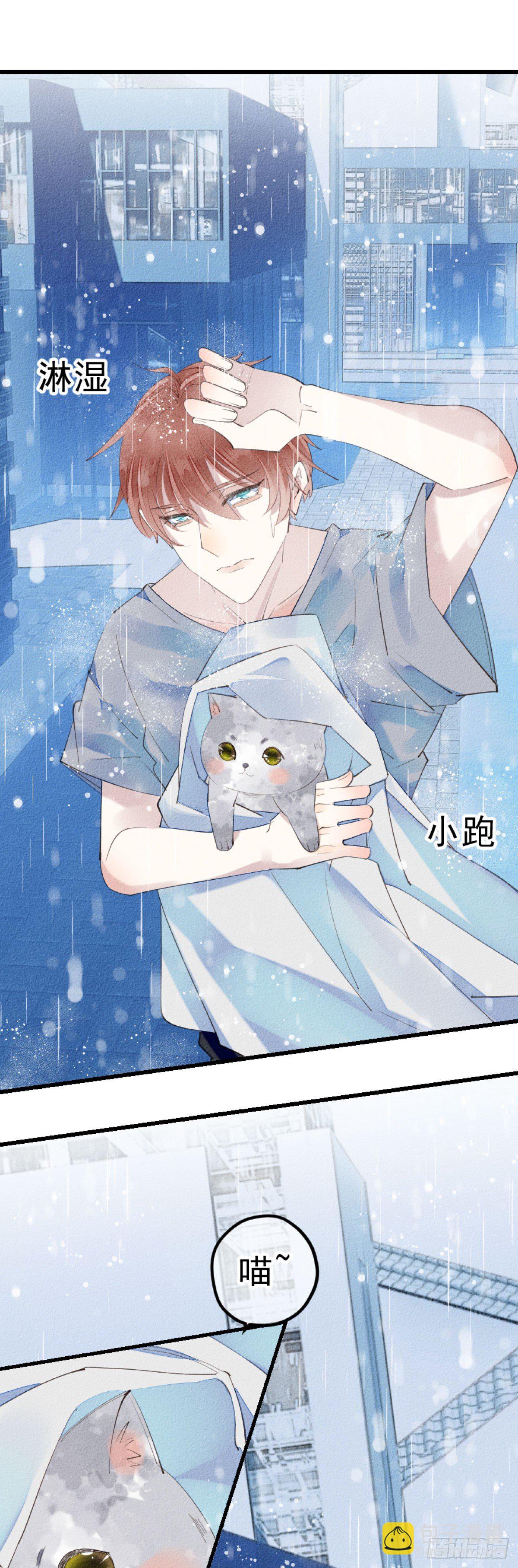 《我捡的流浪猫变成人了？》4.别怕，很快就到家了！ 第6页