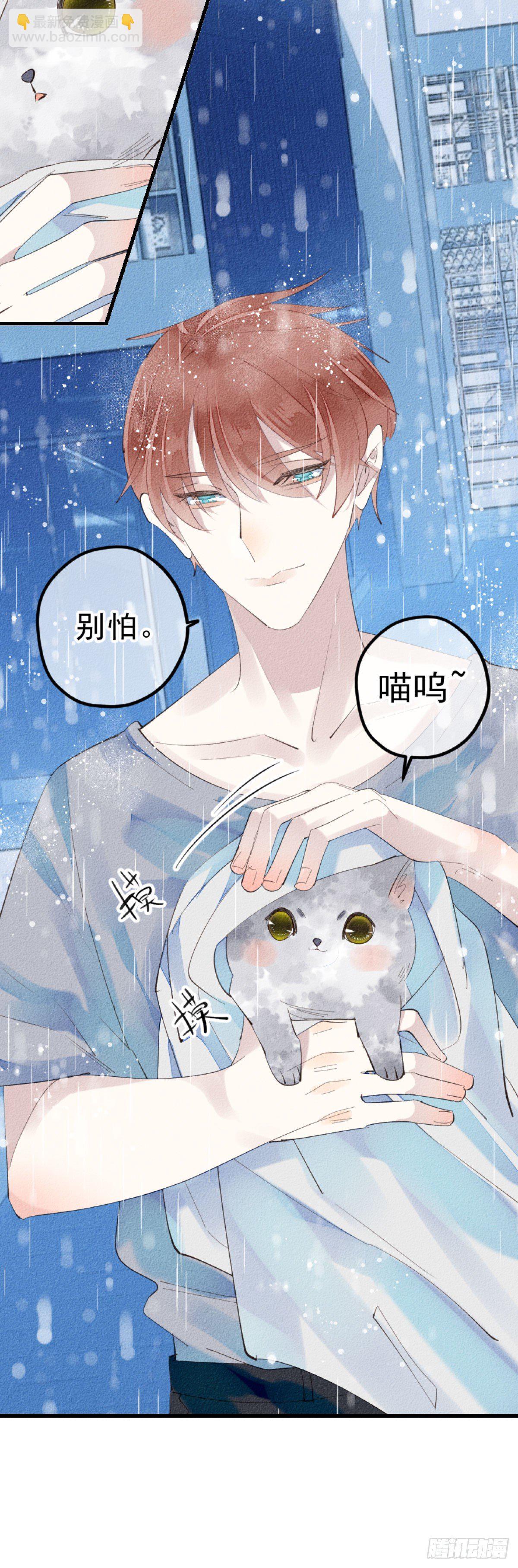 《我捡的流浪猫变成人了？》4.别怕，很快就到家了！ 第7页
