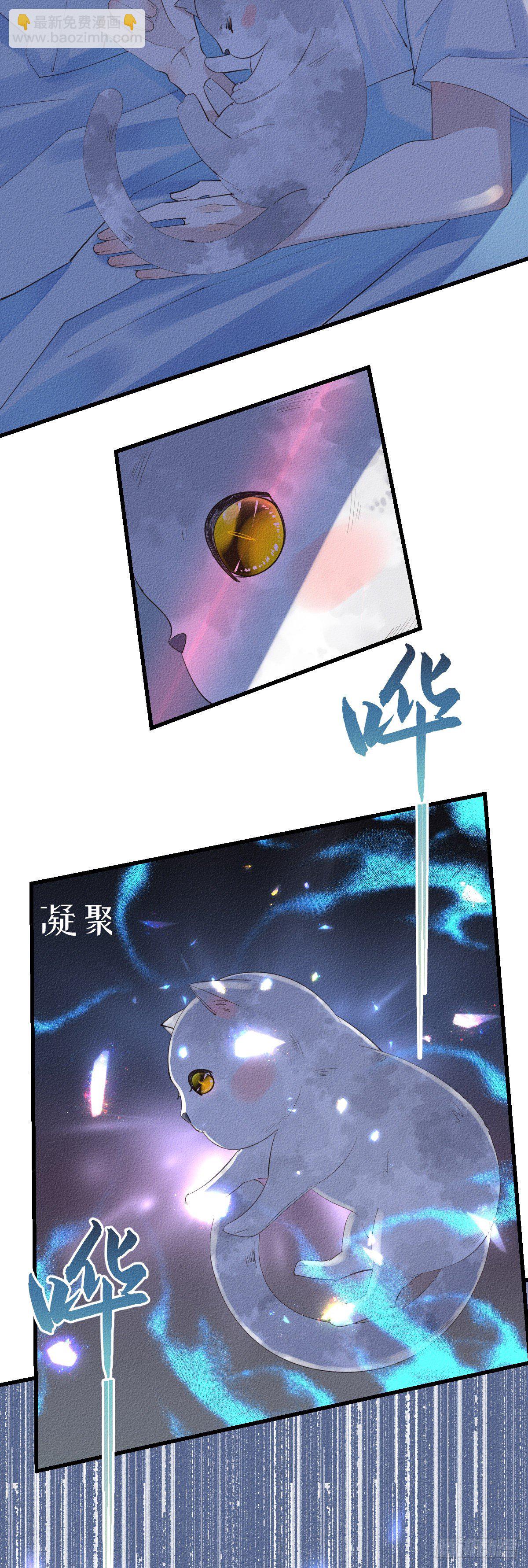 《我捡的流浪猫变成人了？》8.拿回属于我的东西。 第3页