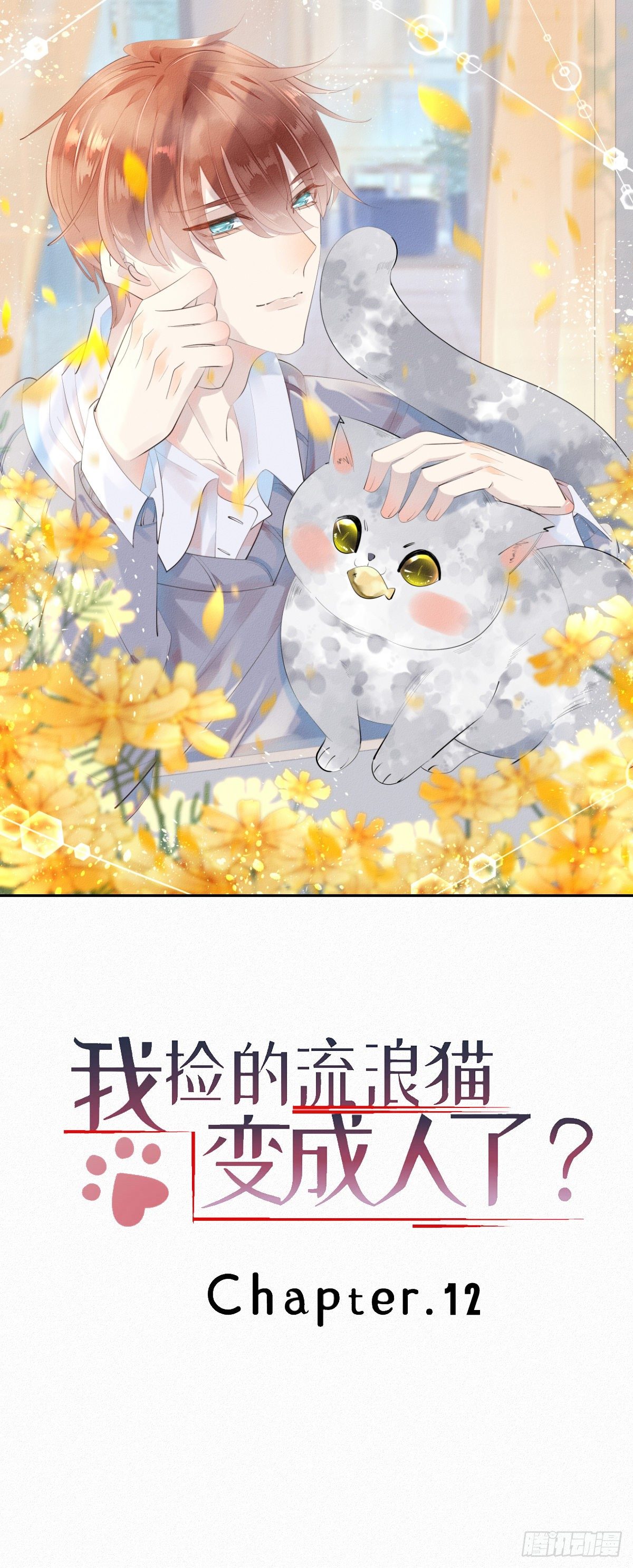 《我捡的流浪猫变成人了？》12.晚安 第1页
