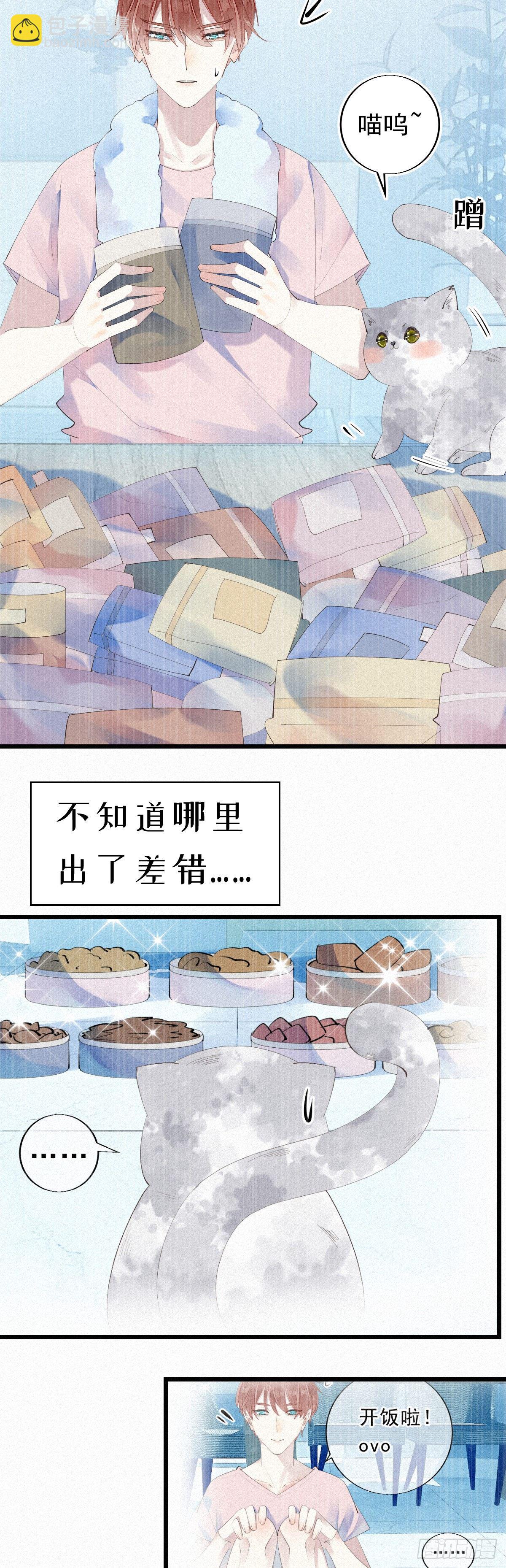 《我捡的流浪猫变成人了？》七夕加更13.给你最好的生活 第12页
