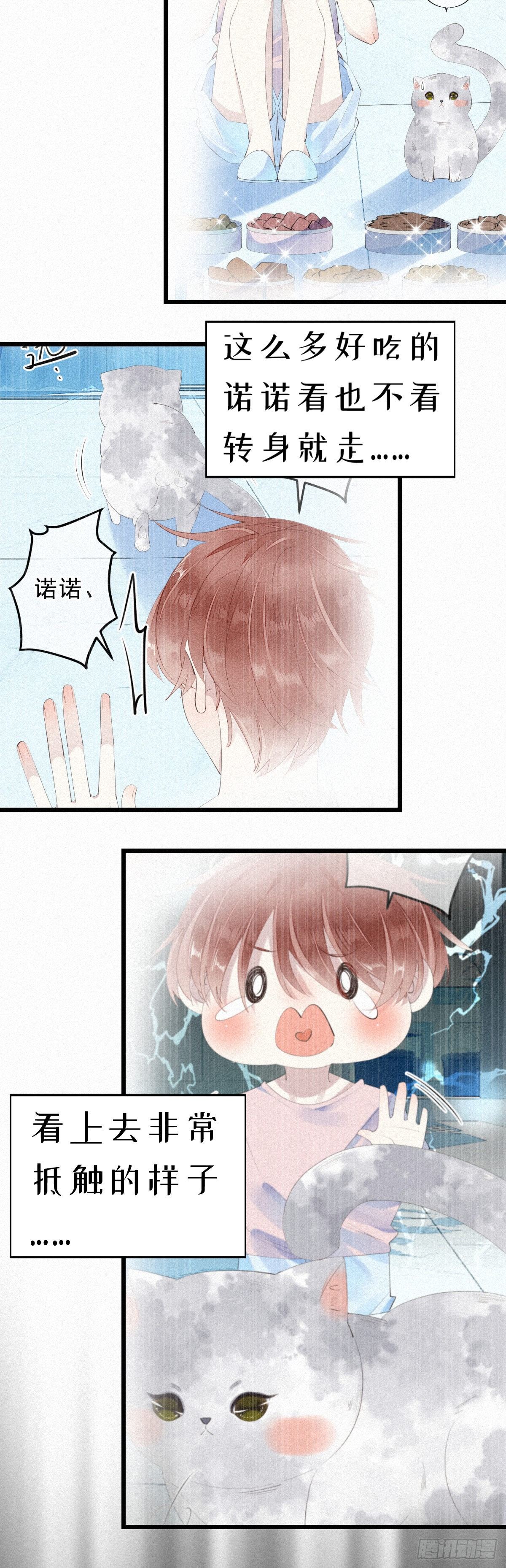 《我捡的流浪猫变成人了？》七夕加更13.给你最好的生活 第13页