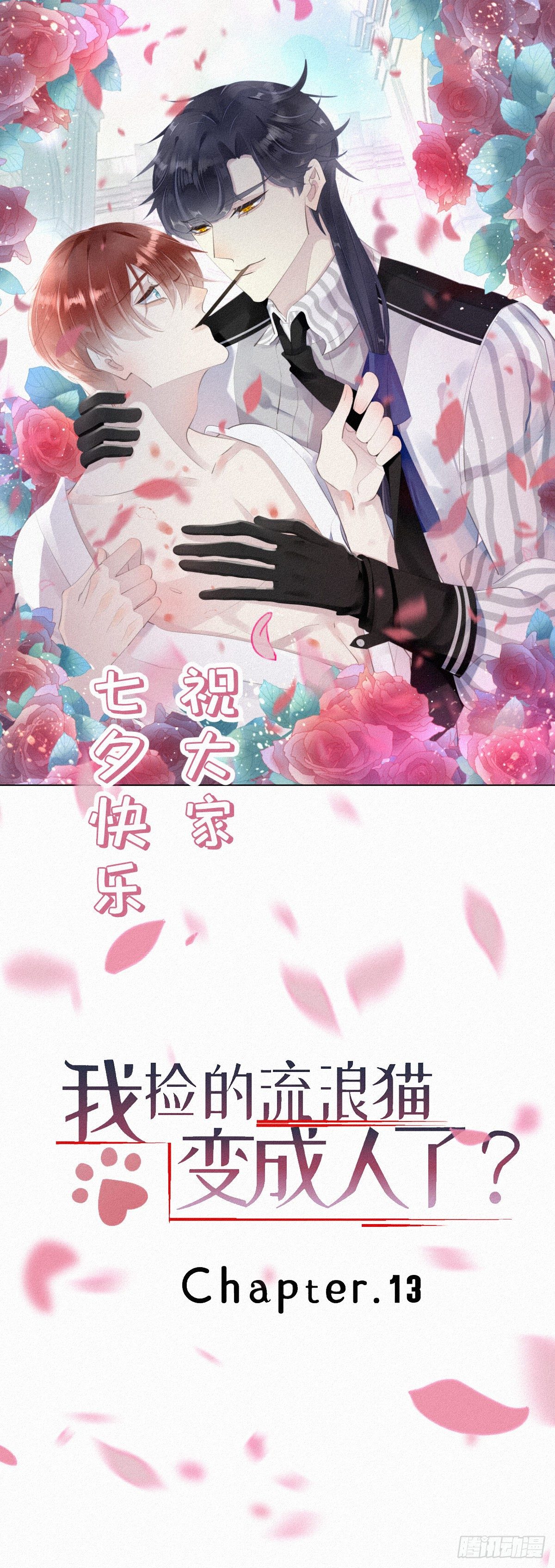 《我捡的流浪猫变成人了？》七夕加更13.给你最好的生活 第1页