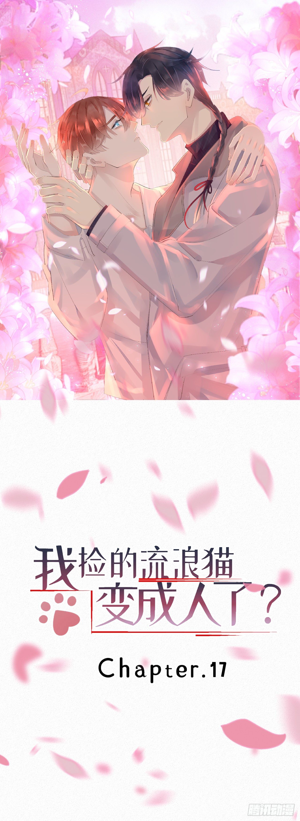 《我捡的流浪猫变成人了？》17.你们是哪只手碰了他？ 第1页