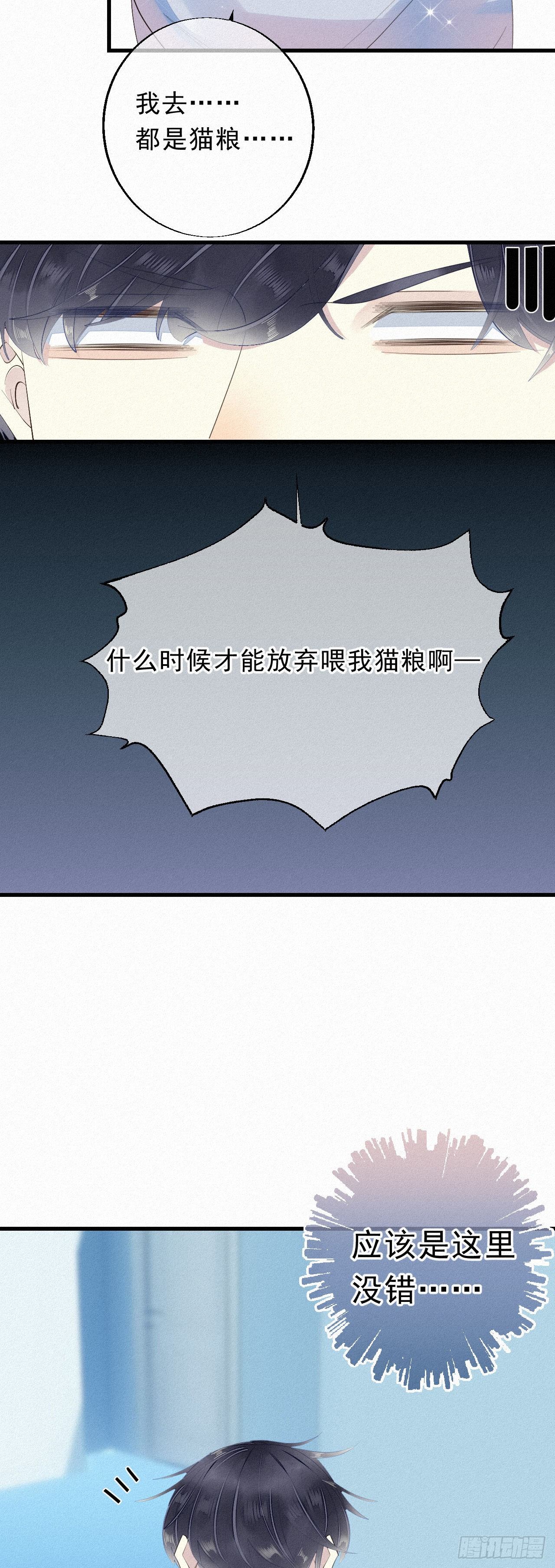 《我捡的流浪猫变成人了？》19.诺诺不见了？ 第11页