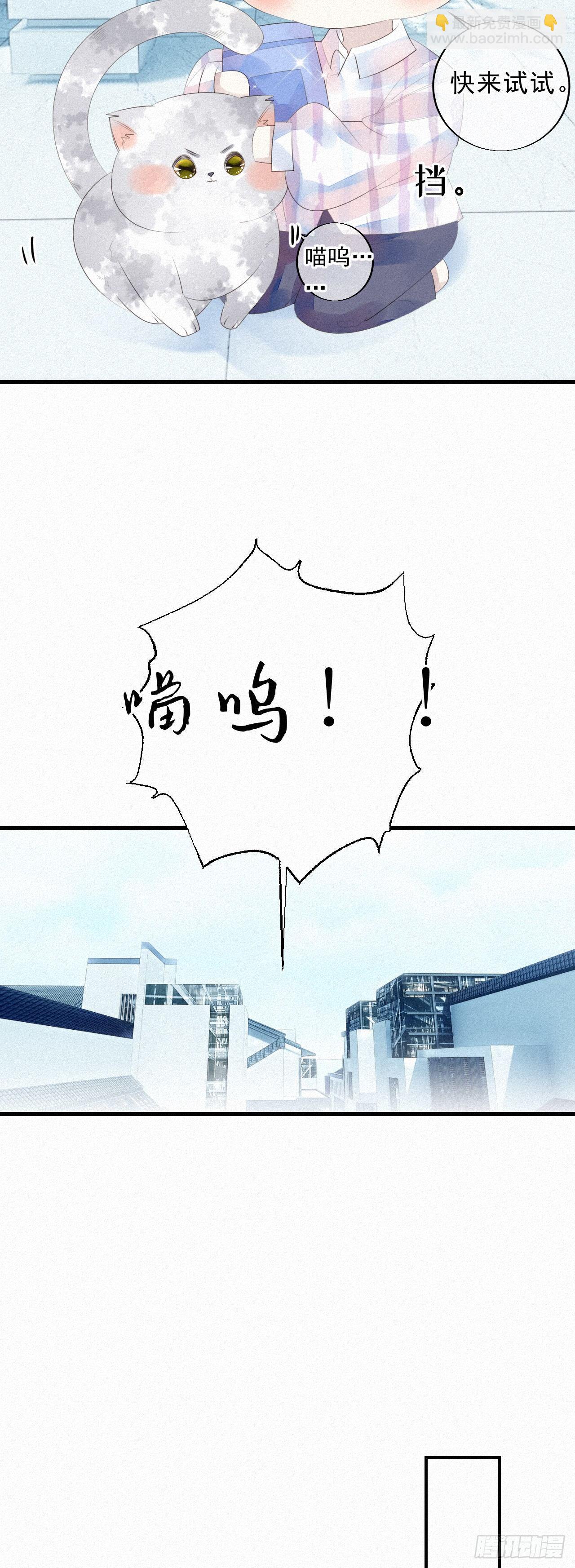《我捡的流浪猫变成人了？》19.诺诺不见了？ 第21页