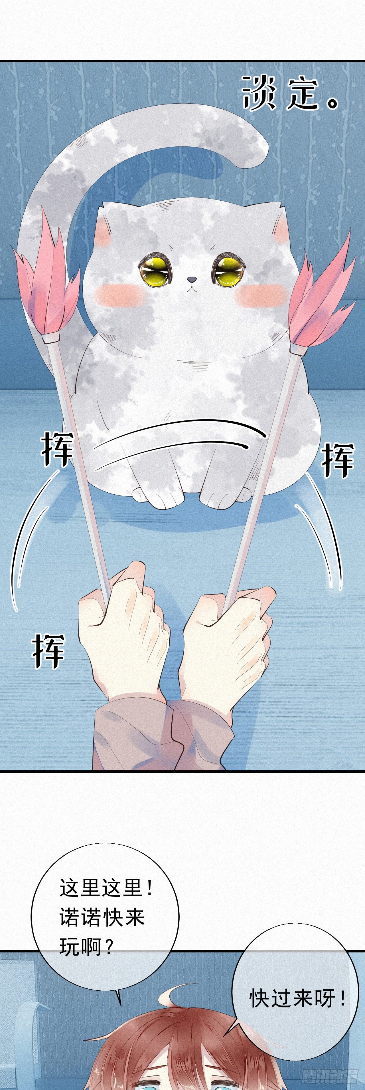 《我捡的流浪猫变成人了？》24.逗猫 第16页