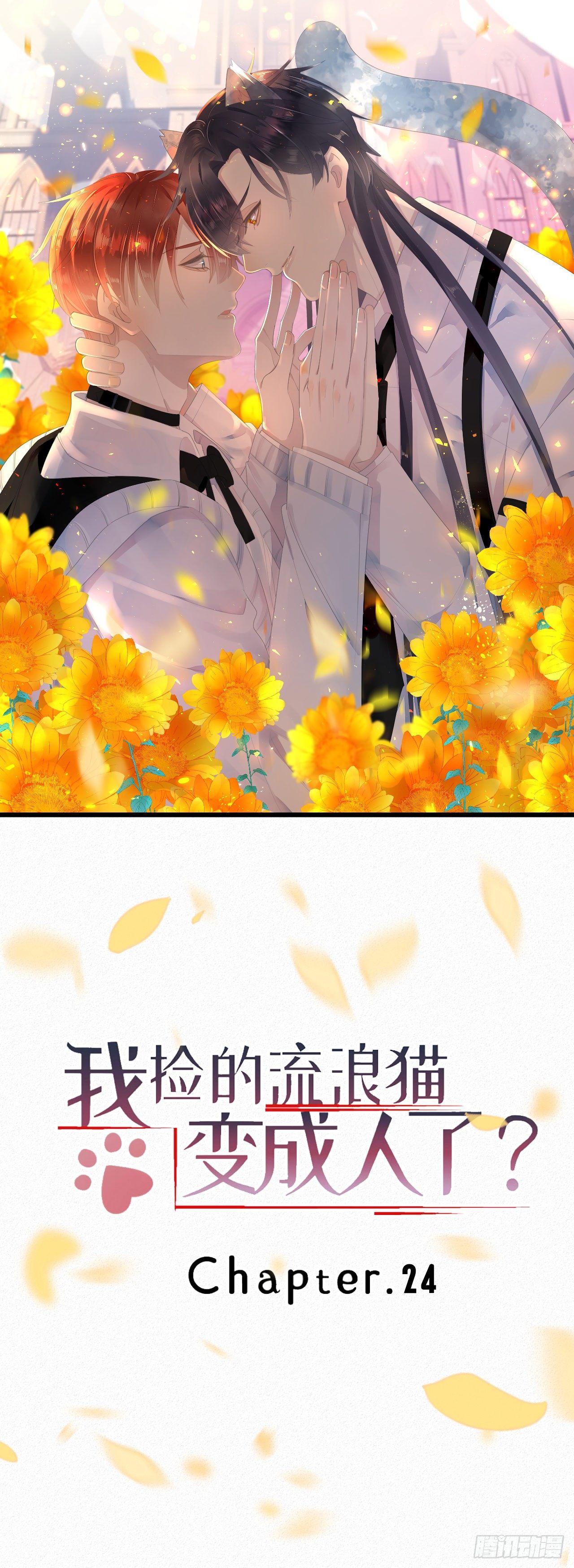 《我捡的流浪猫变成人了？》24.逗猫 第1页