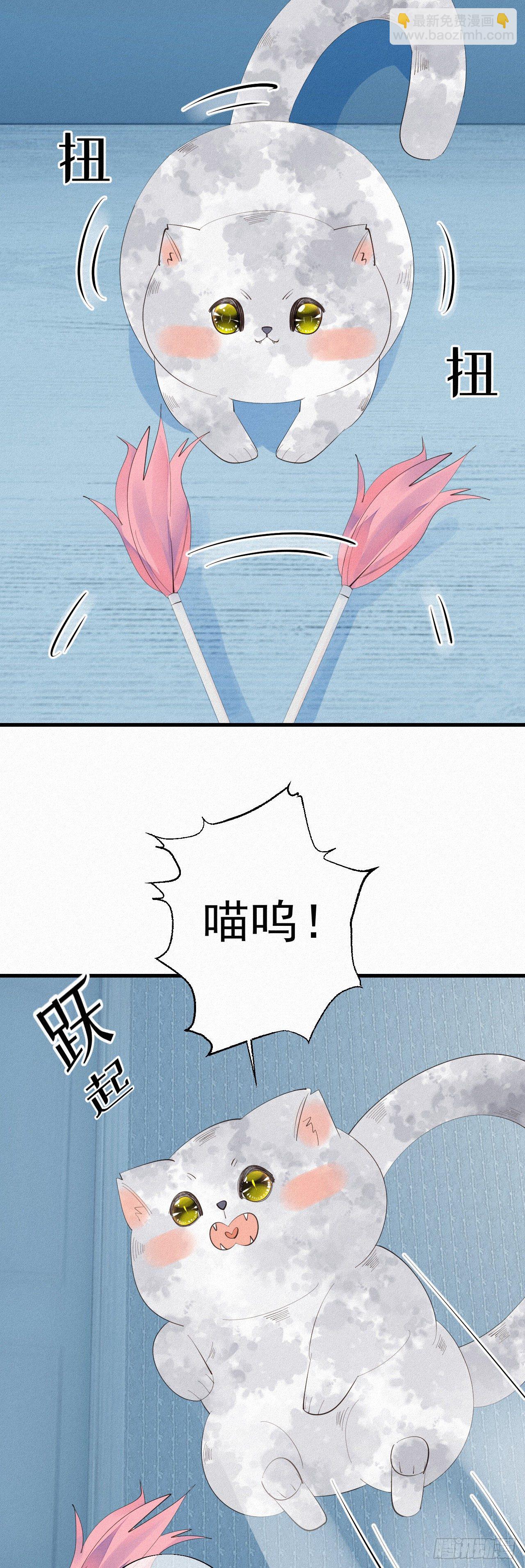 《我捡的流浪猫变成人了？》24.逗猫 第20页