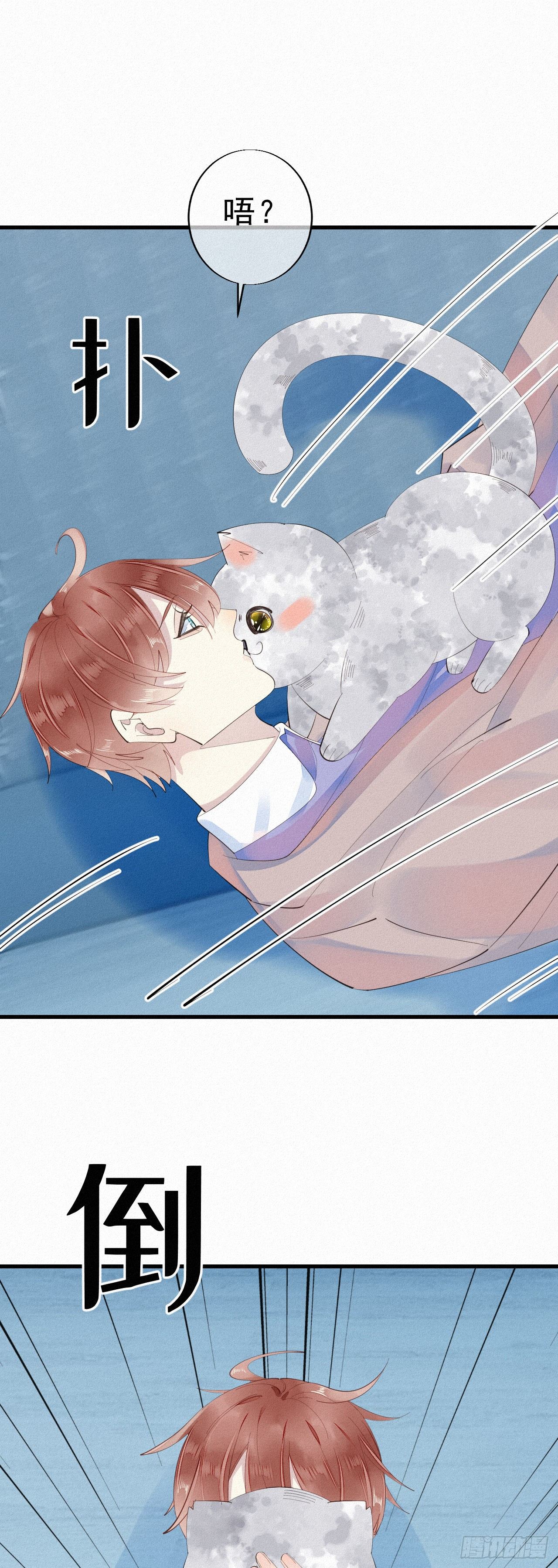 《我捡的流浪猫变成人了？》24.逗猫 第22页