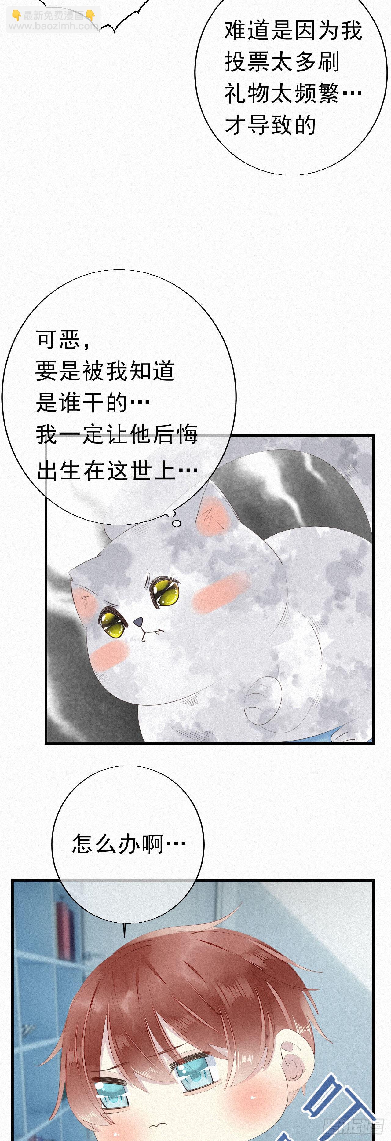 《我捡的流浪猫变成人了？》25.取消资格 第27页