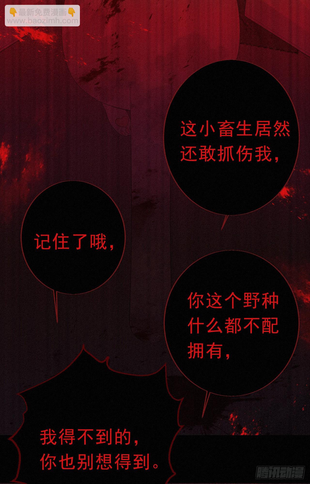 《我捡的流浪猫变成人了？》29.要将诺诺从我身边夺走吗 第12页