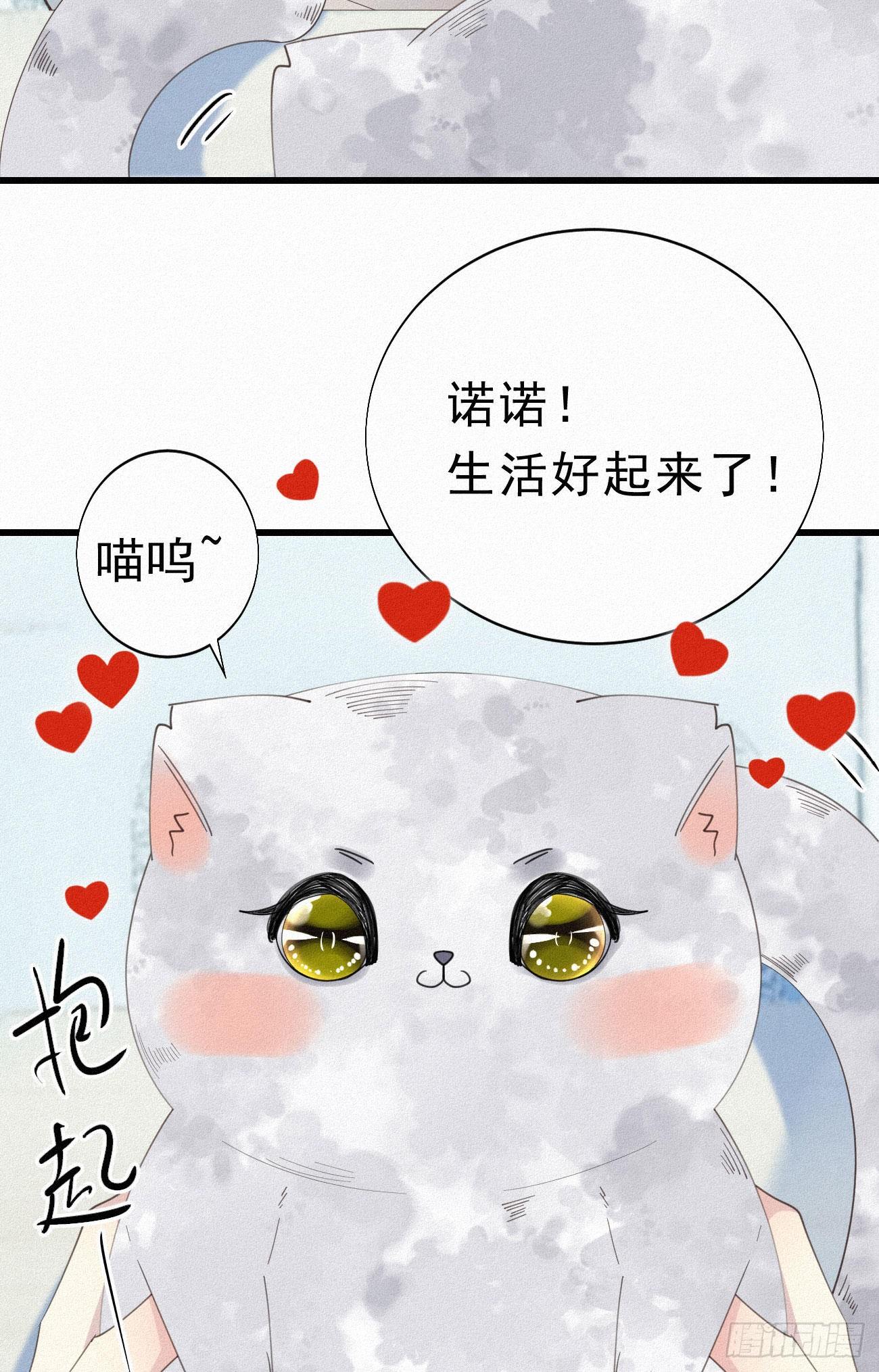 《我捡的流浪猫变成人了？》32.上药 第40页