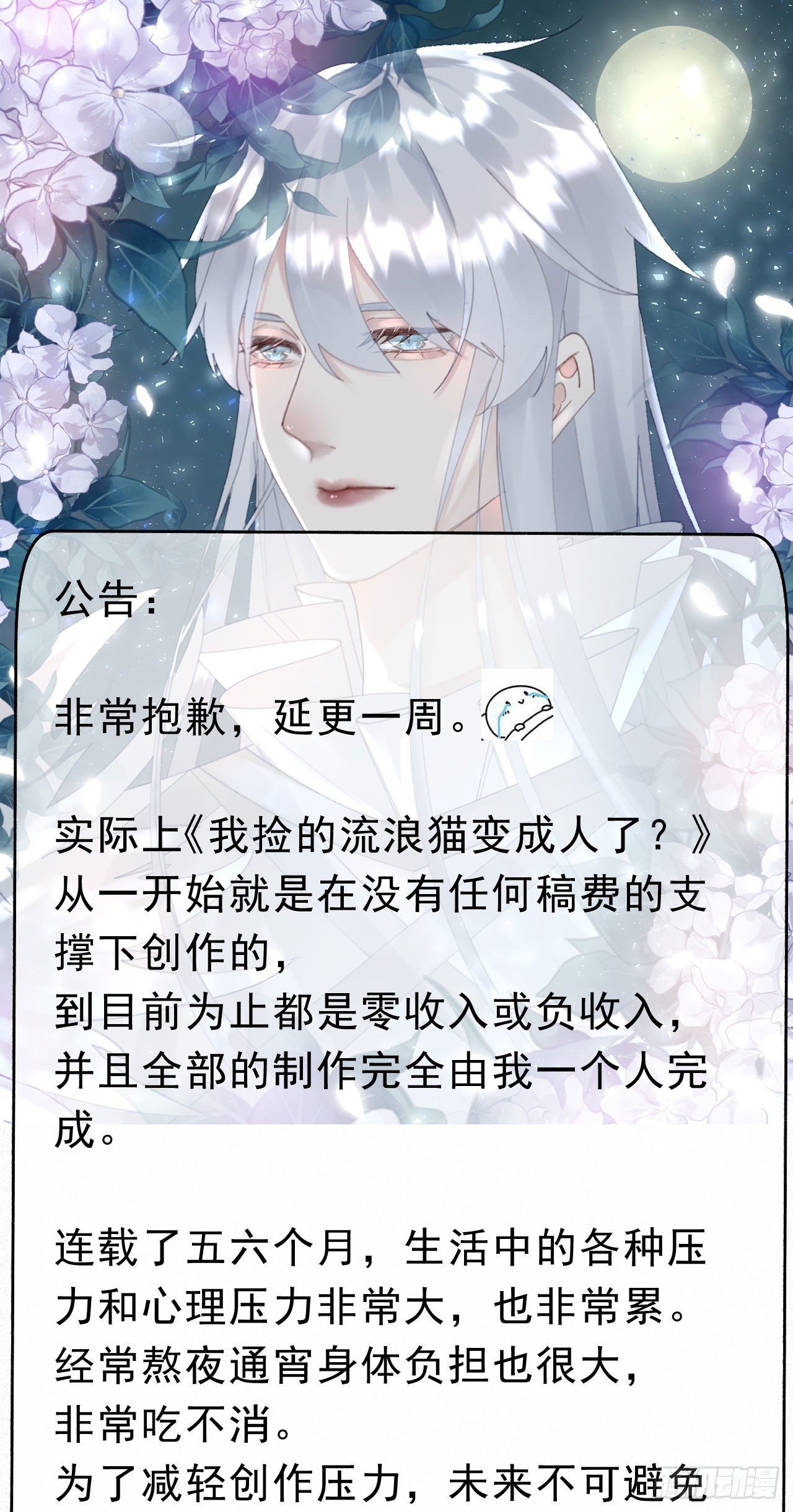 《我捡的流浪猫变成人了？》公告 第1页