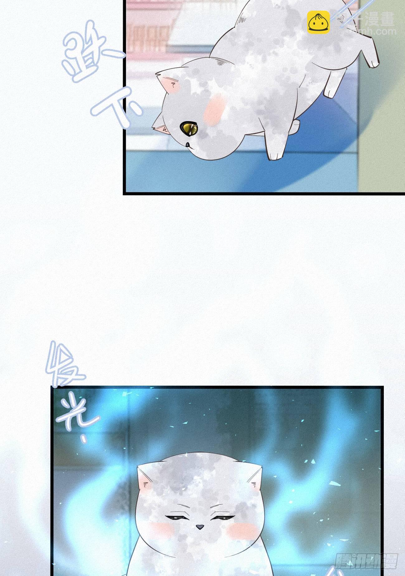 《我捡的流浪猫变成人了？》35.面基会 第14页
