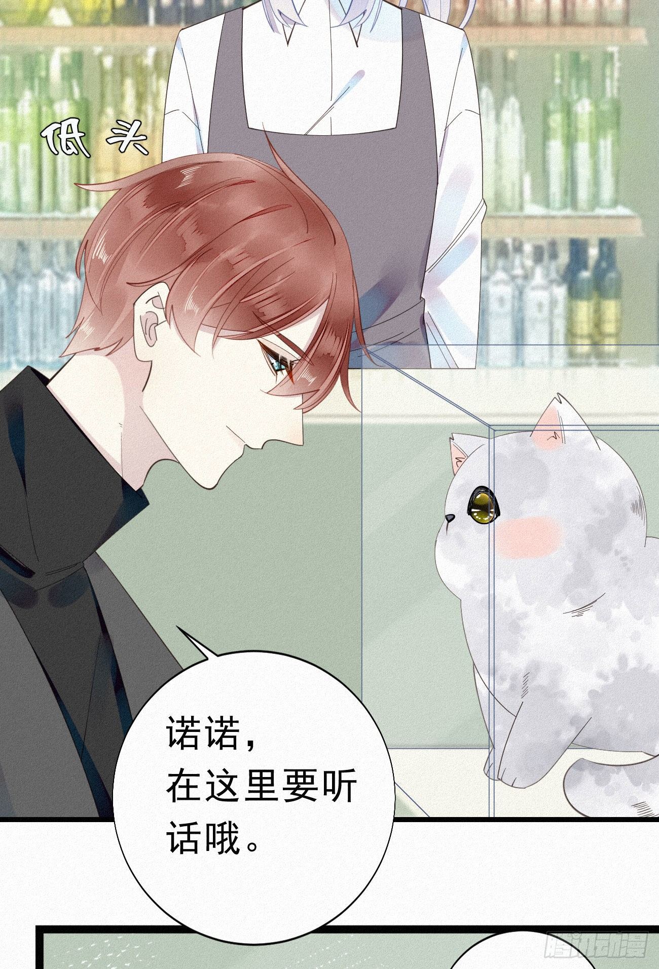 《我捡的流浪猫变成人了？》35.面基会 第6页